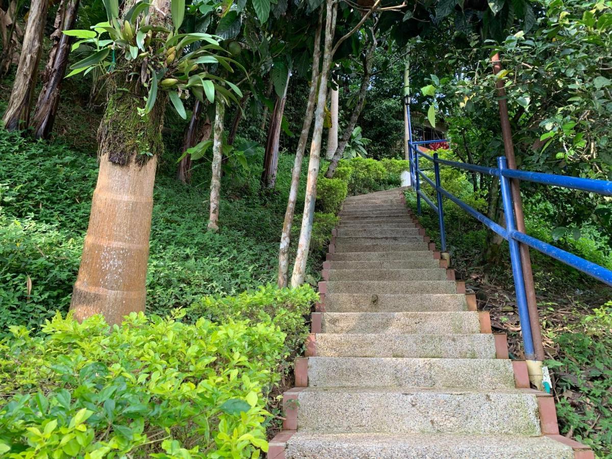 Finca Altamira La Vega  Ngoại thất bức ảnh